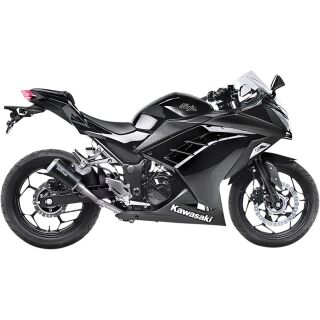 LEOVINCE - LV-10 CARBON FIBER für KAWASAKI Z 250 2015 - 2016